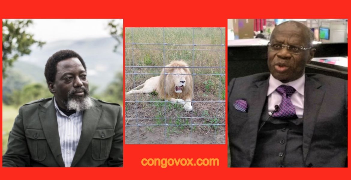 Joseph Kabila, Le lion de Kingankati, Albert Yuma