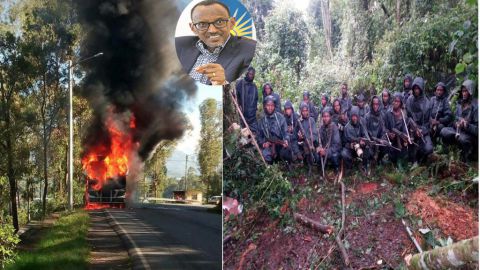 Les rebelles rwandais