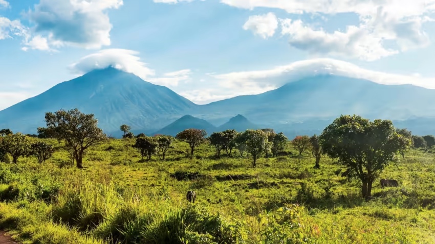 La République démocratique du Congo a mis aux enchères 30 blocs d'exploration pétrolière et gazière, dont certains dans le parc national des Virunga 
